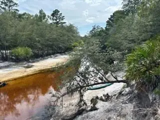 0000 St. Mary's River Bluff, Ltd, Saint George, GA 31562 - Image #1