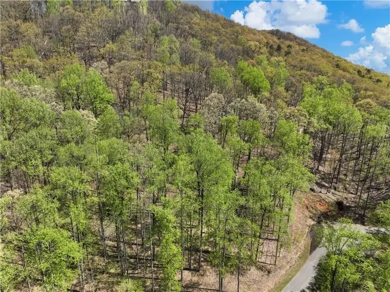 0 Stone Cliff Trace, Cleveland, GA 30528 - #3