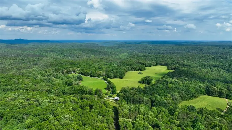 1447 Travis Smith Road, Clarkesville, GA 30523 - Image #3