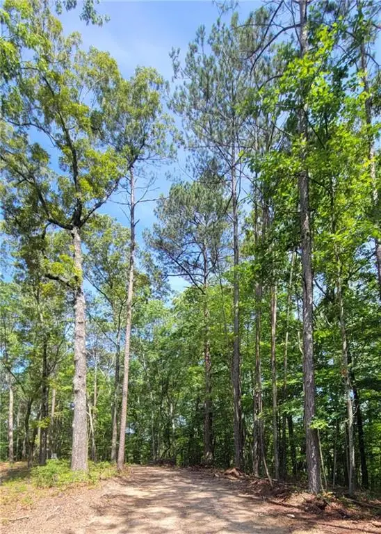 64 Beacon Place, Dallas, GA 30132 - #2