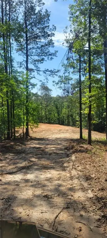 64 Beacon Place, Dallas, GA 30132 - #3