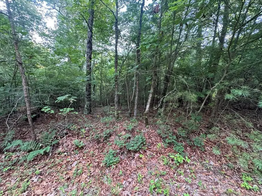 793 Woodbine Lane, Ranger, GA 30734 - Image #2