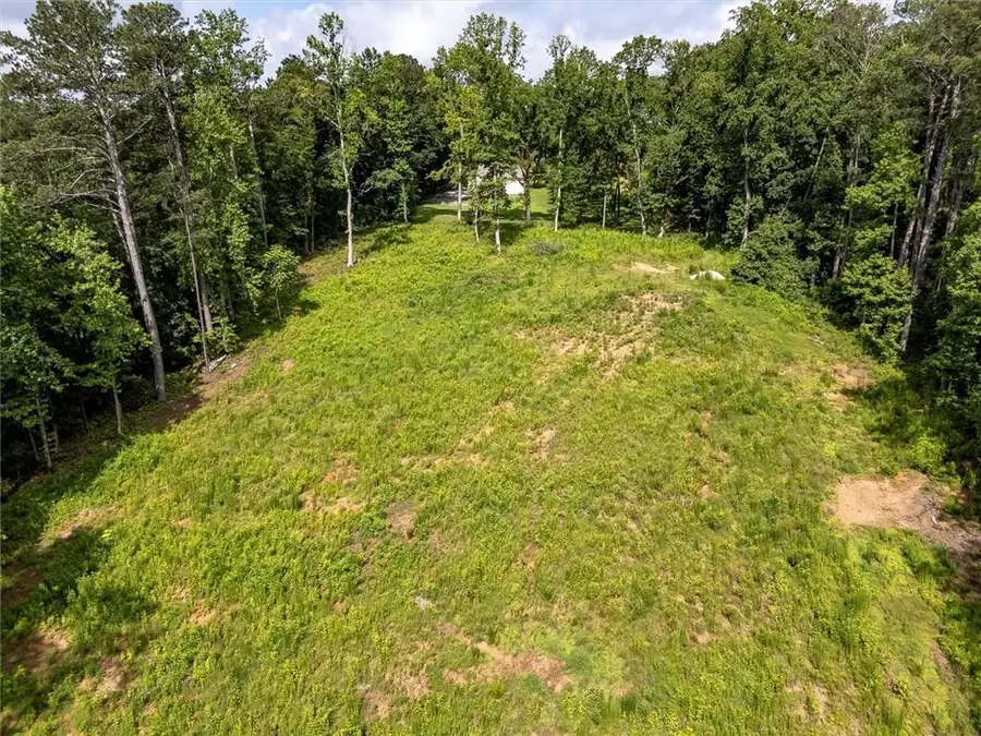 2018 Sugar Pike Road, Woodstock, GA 30188 - #3