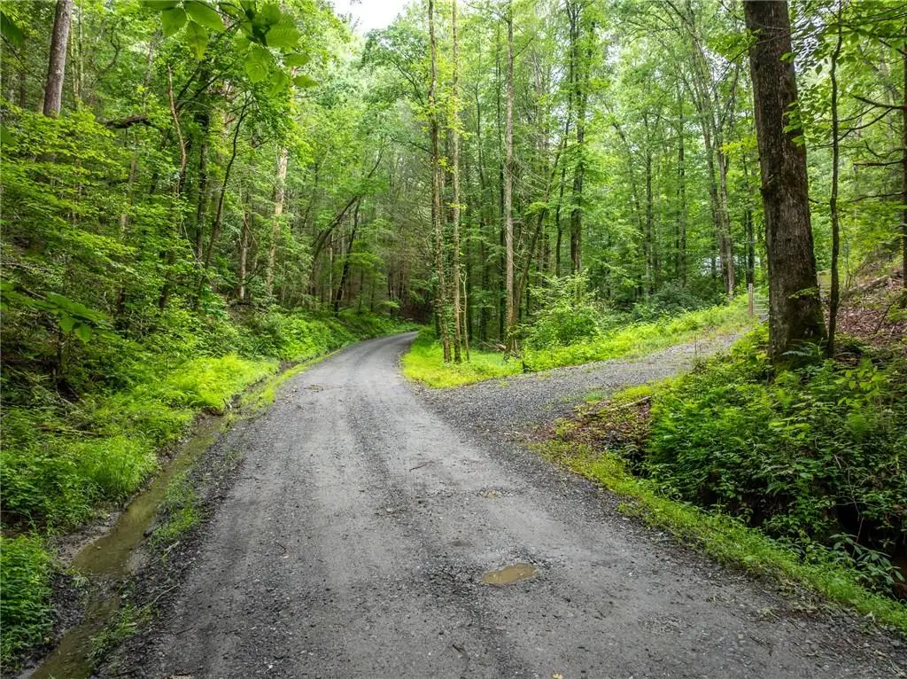 5846 Gates Chapel Road, Ellijay, GA 30540 - Image #1