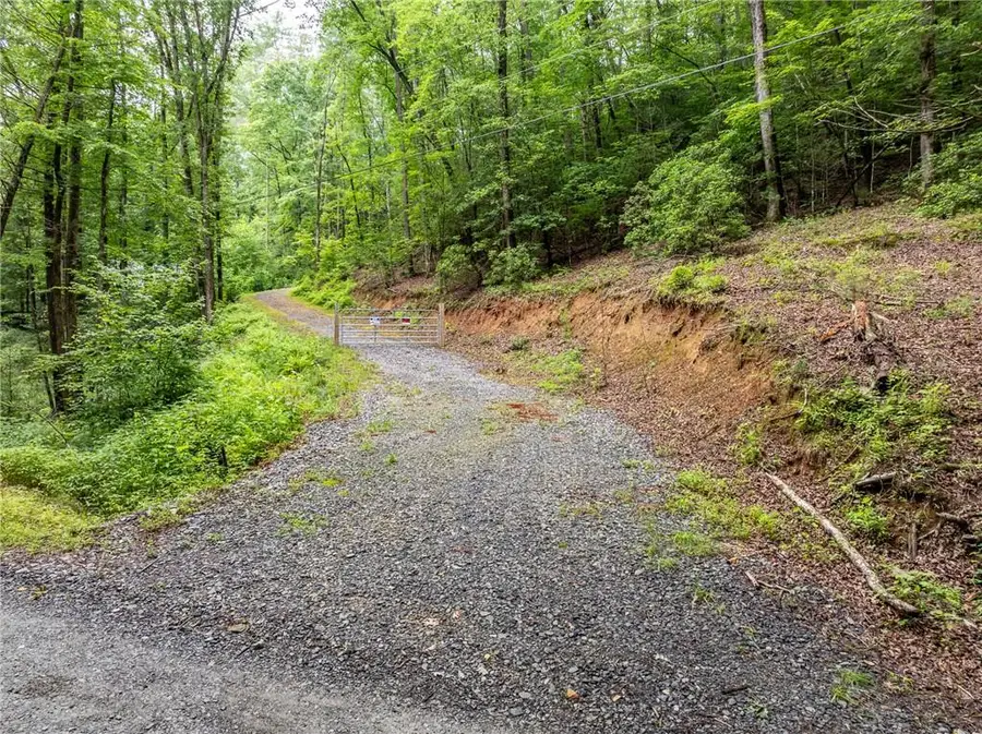 5846 Gates Chapel Road, Ellijay, GA 30540 - Image #3