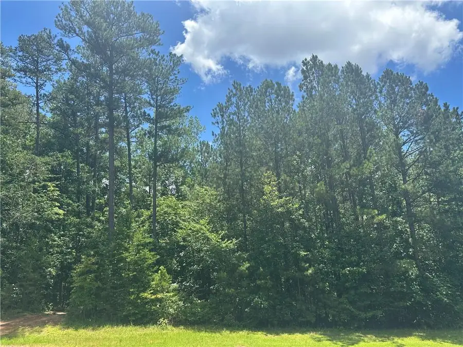 0 Elsberry Mountain Road, Dallas, GA 30132 - #3