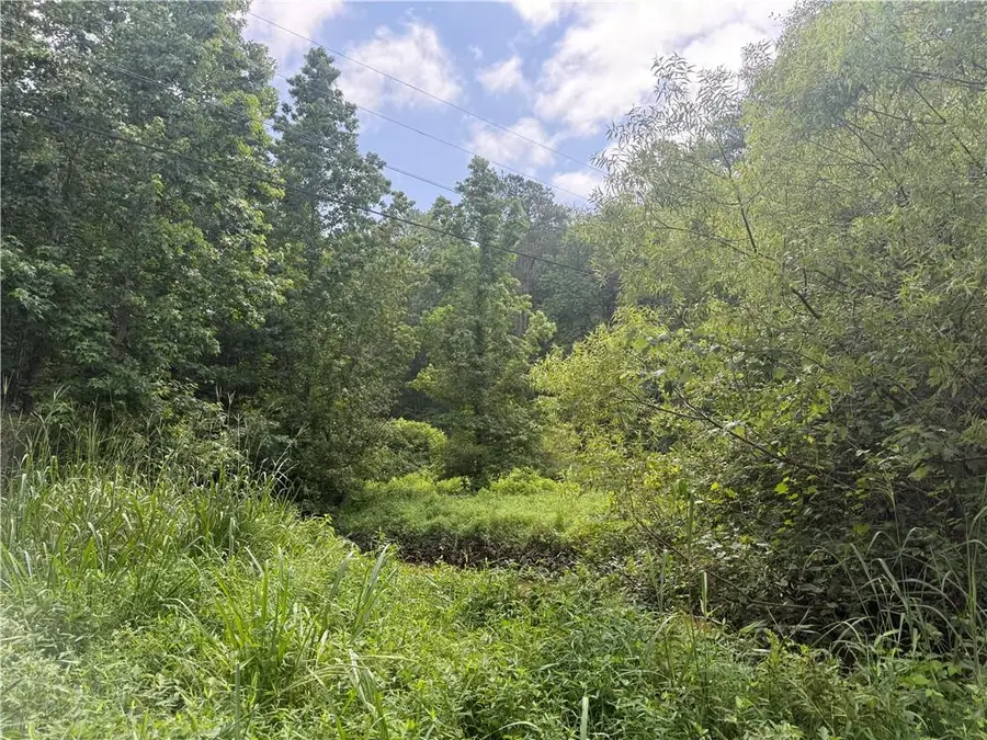 0 Turner Road, Hampton, GA 30228 - #2