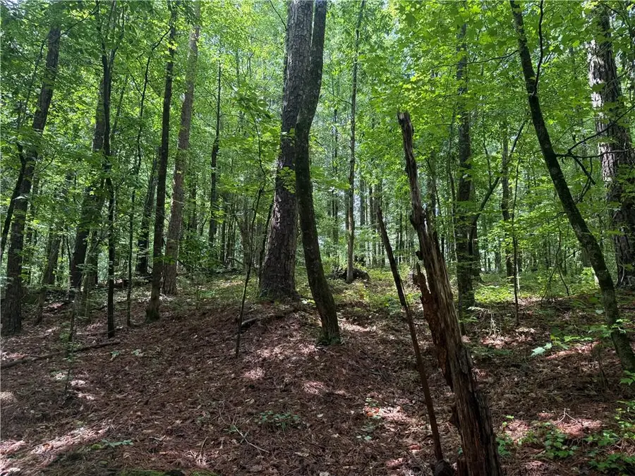 0 Turner Road, Hampton, GA 30228 - #3