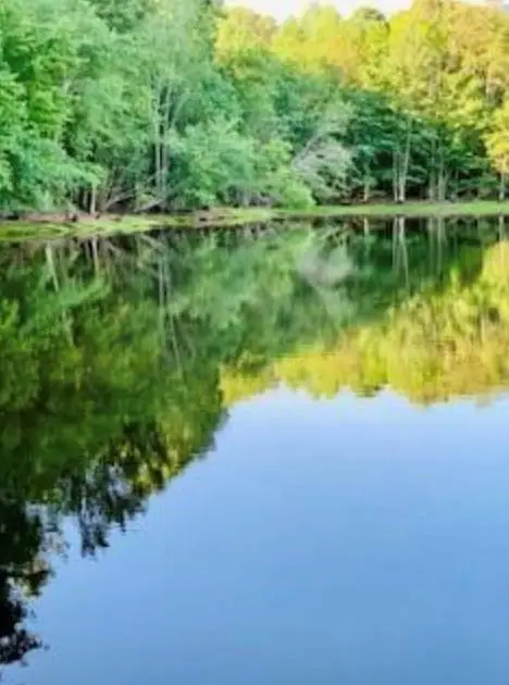 0 Malone Road, Fayetteville, GA 30215