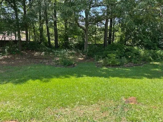 433 Rhett Drive, Loganville, GA 30052 - Image #2