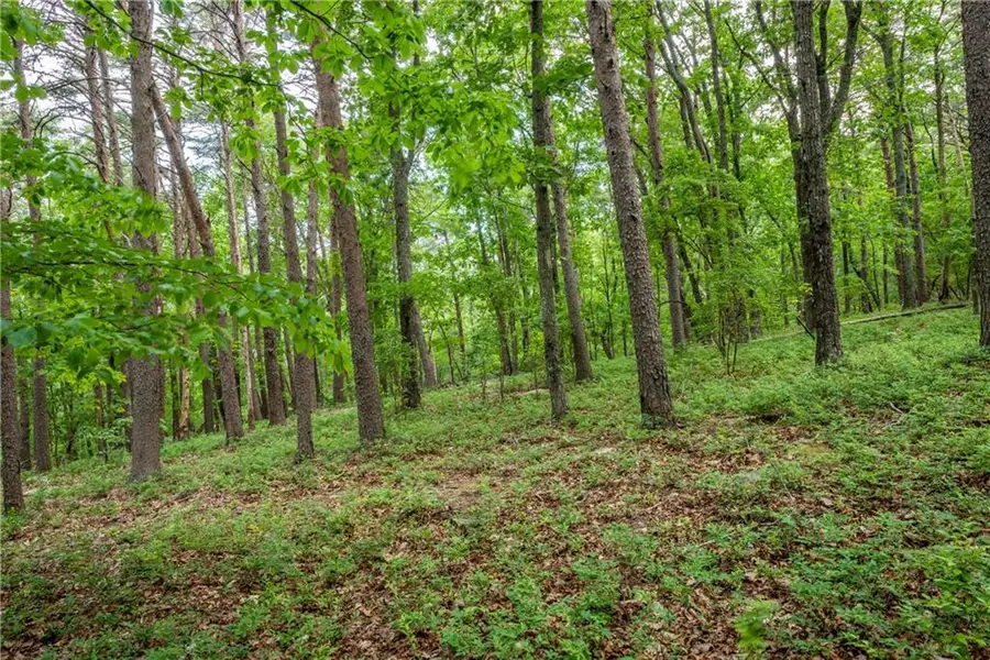 206R Mystic Trail Lane, Jasper, GA 30143 - Image #3