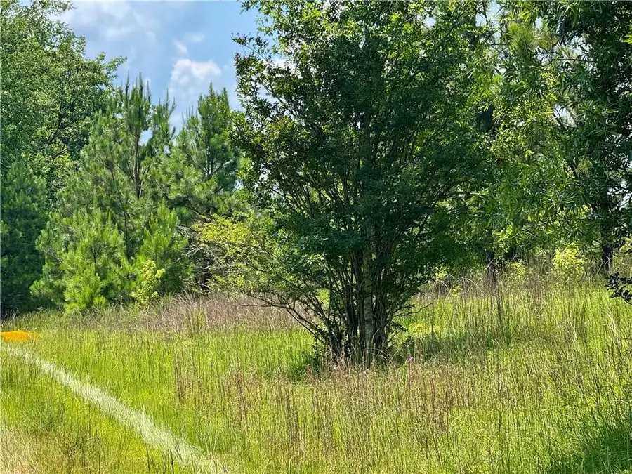 0 Crosscreek Lane, Sparta, GA 31087 - Image #2