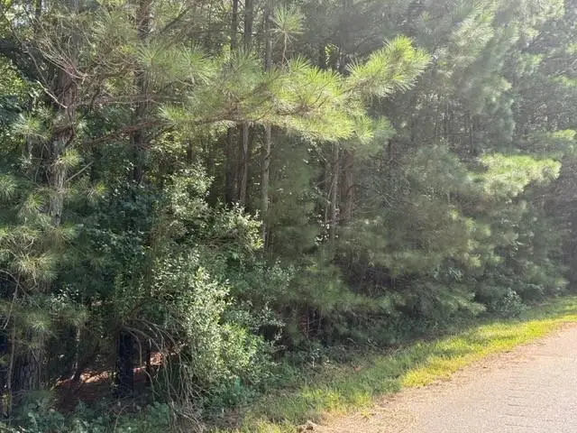 0 Amanda Court, Greenville, GA 30222 - Image #3