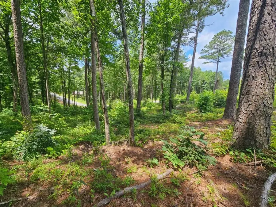 0 Twisted Oak Road, South Gilmer, GA 30536 - Image #3