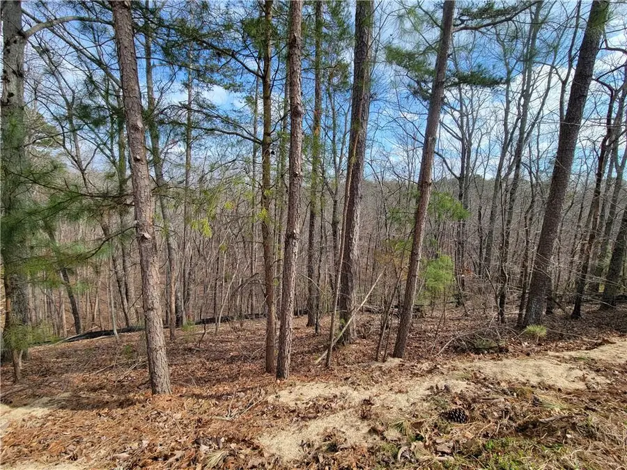 16 Somerset Lane, Cartersville, GA 30121 - Image #2