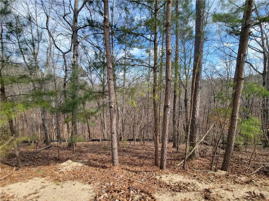 16 Somerset Lane, Cartersville, GA 30121 - Image #3