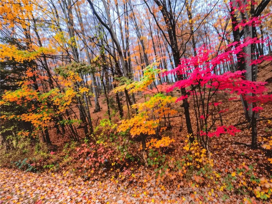 0 Edinborough Court, South Gilmer, GA 30143 - Image #2