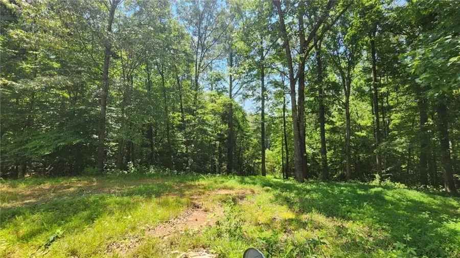 134 Cicero Trail, Dawsonville, GA 30534 - Image #2