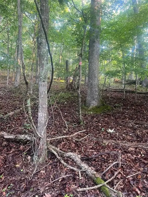 6047 Belle Meade Drive, Villa Rica, GA 30180 - Image #2