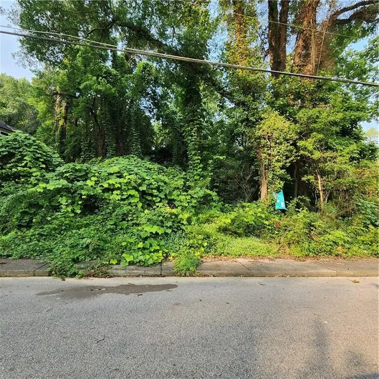 1039 Margaret Place, Atlanta, GA 30318 - Image #3