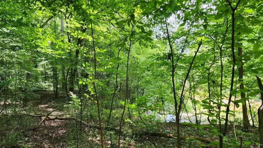 6670 Old Ferry Court, Douglasville, GA 30135 - #3