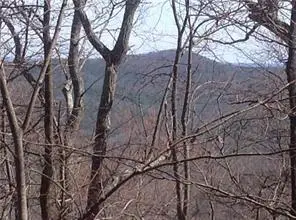 8112 Disharoon Drive, Big Canoe, GA 30143 - Image #2