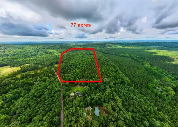 0 South Porter Road, Shiloh, GA 31826