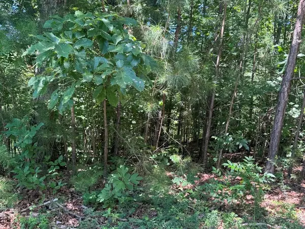 189 Hopewell Drive, Ranger, GA 30734