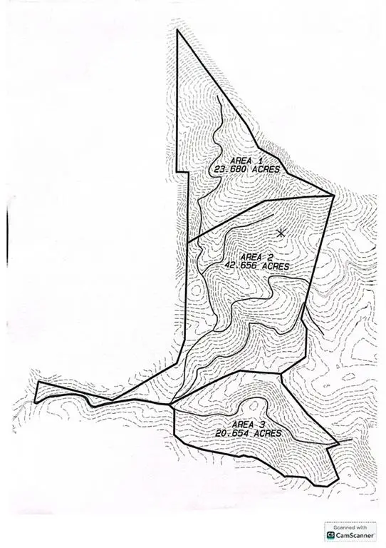 42.65 Acres Mincie Mountain, Murrayville, GA 30564