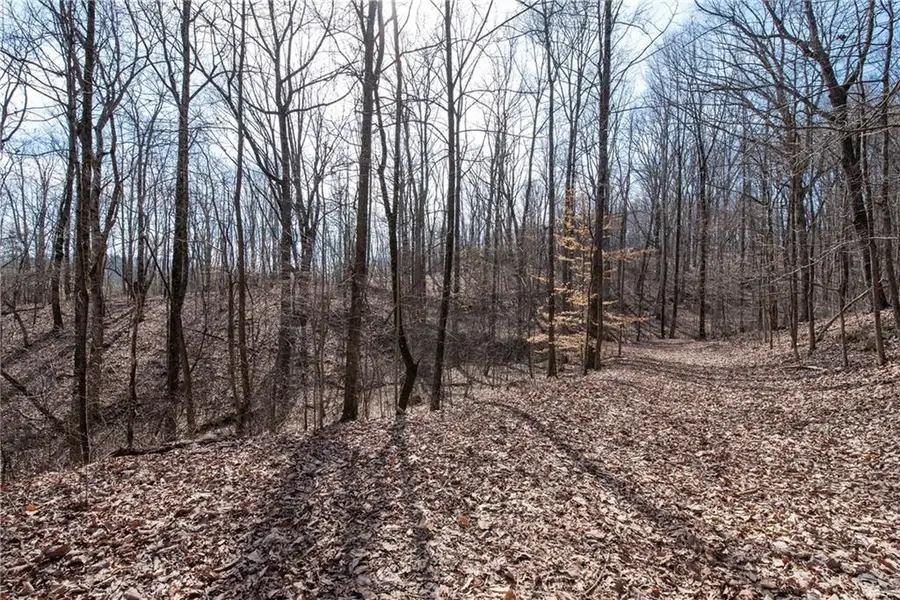 42.65 Acres Mincie Mountain, Murrayville, GA 30564 - Image #2