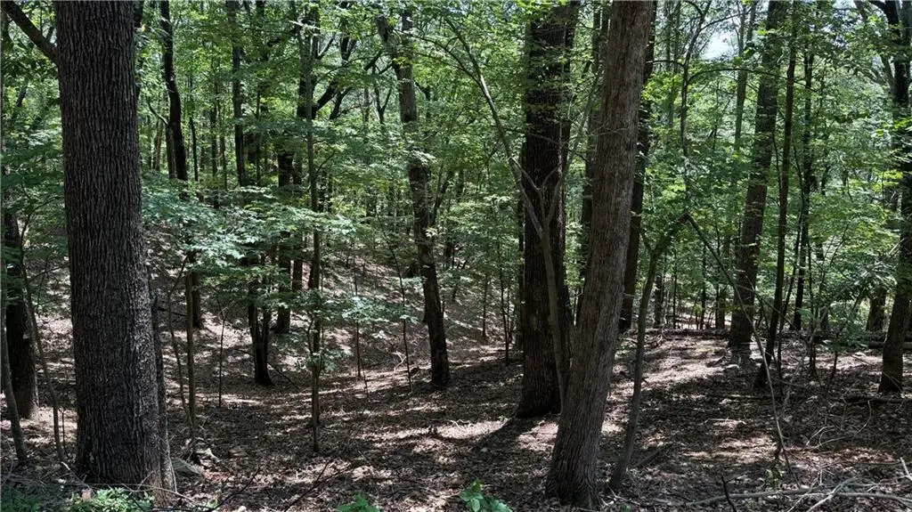 0 Laurel Mill Trail, Jasper, GA 30143 - Image #1