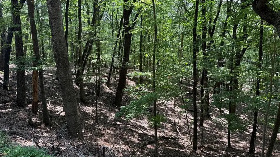 0 Laurel Mill Trail, Jasper, GA 30143 - Image #2