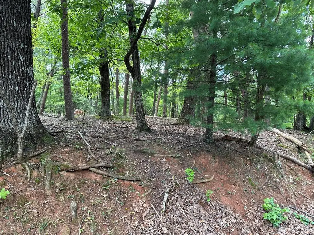 0 Tamarack Drive, Jasper, GA 30143 - Image #1