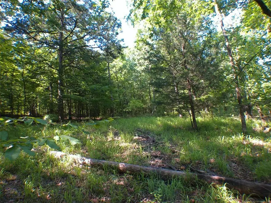 104 Lo Valley Drive, Eatonton, GA 31024 - Image #3