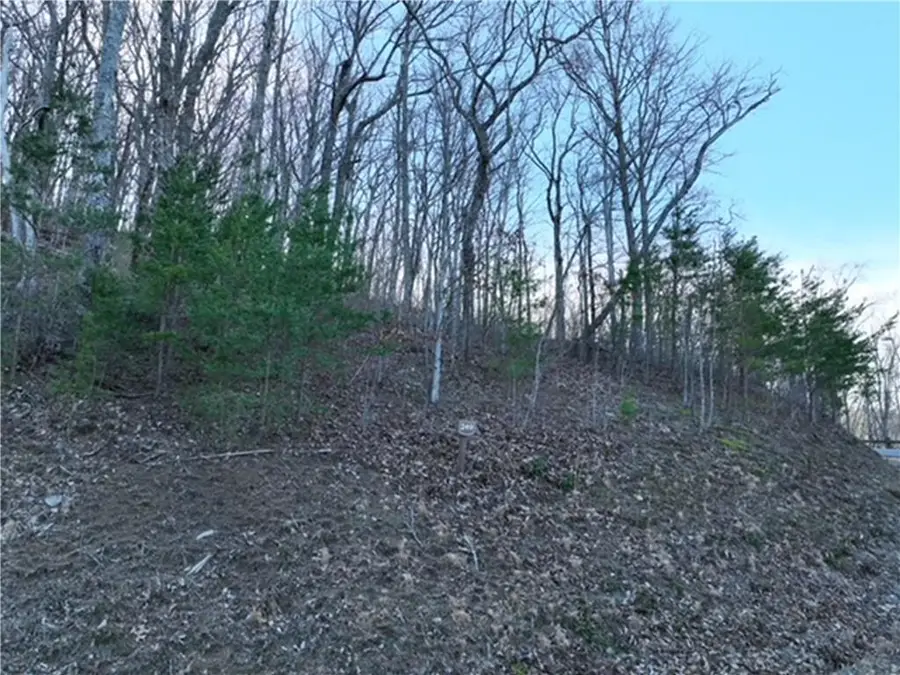 249 Andes Ridge, Ellijay, GA 30536 - Image #3