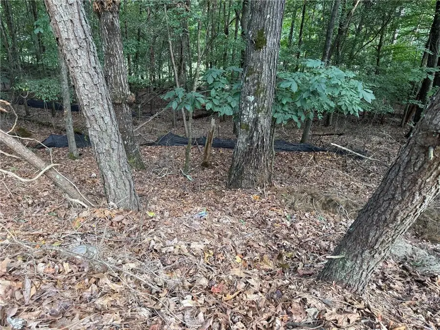 3524 Lake Ridge Drive, Gainesville, GA 30506 - Image #3