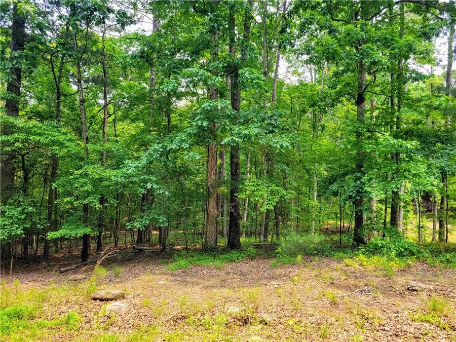 3234 Greenhill Drive, Villa Rica, GA 30180 - Image #3