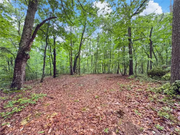 1 Cooper Bridge Road, Gainesville, GA 30507