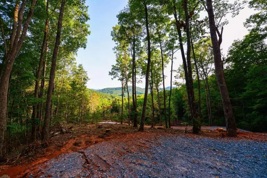 0 Cottonwood Lane, Blue Ridge, GA 30513 - Image #3
