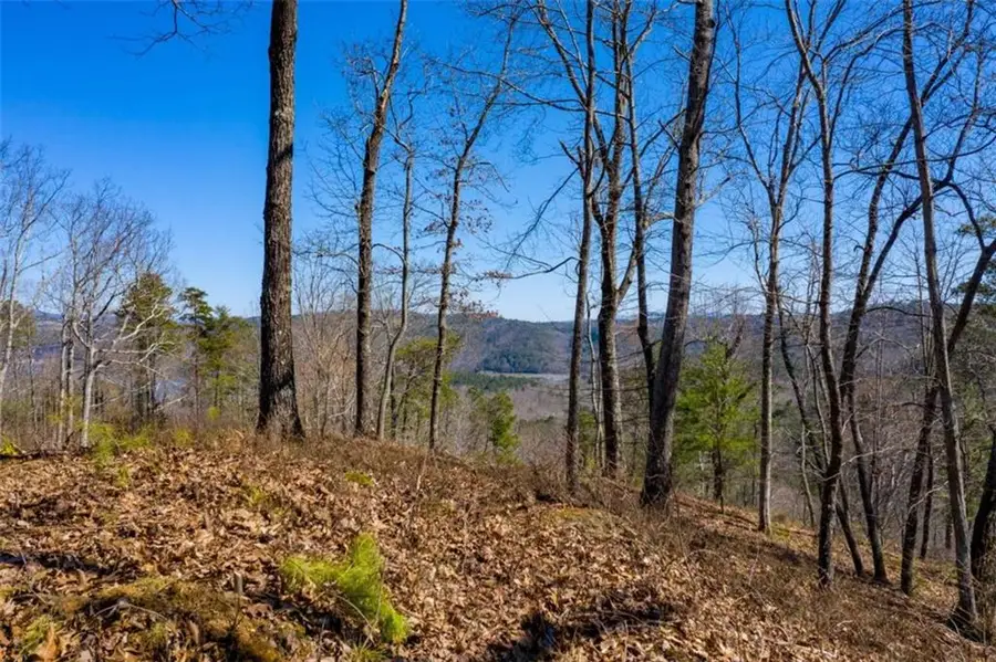 278 Carters Overlook, Ranger, GA 30734 - Image #3
