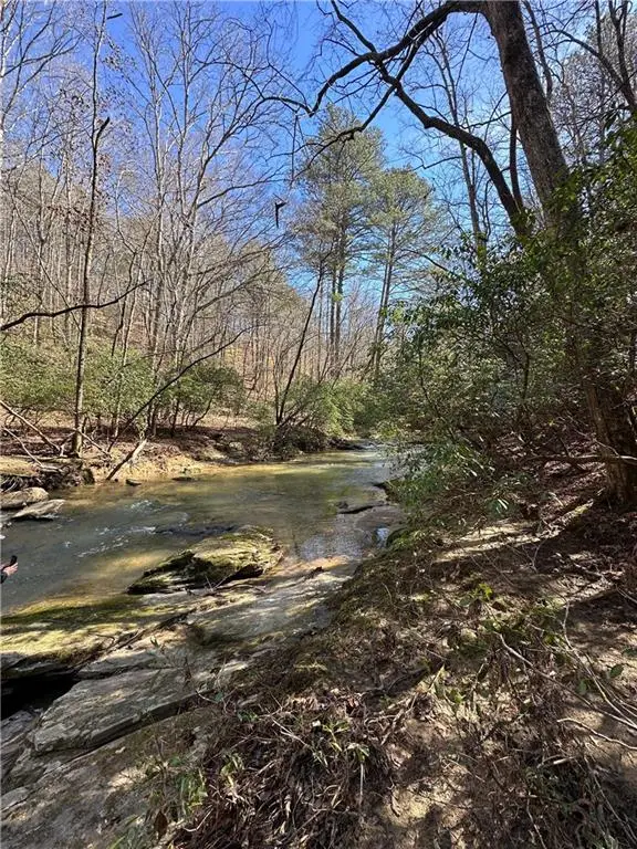 0 Coffee Mill Run, Talking Rock, GA 30175 - Image #2
