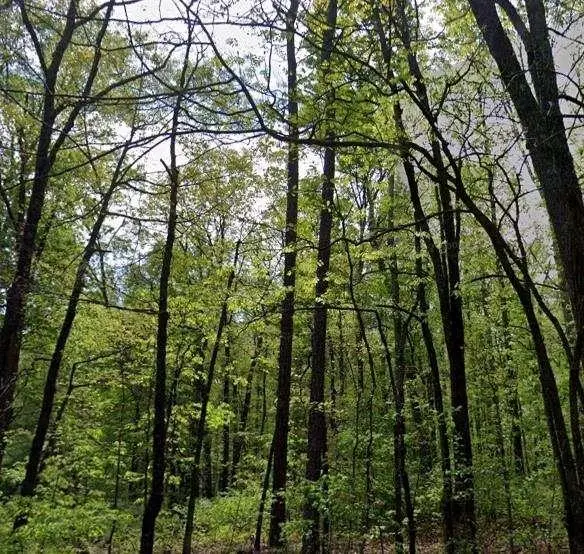 0 Carson Wages Road, Winder, GA 30680 - Image #1