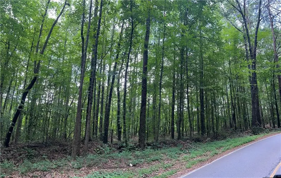 324 S Mccollum Drive, Canton, GA 30114 - Image #3