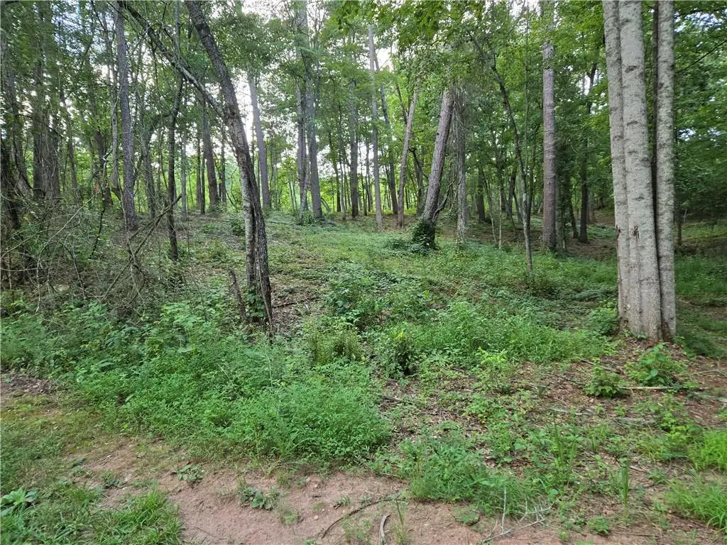 384 Tippens Road, Canton, GA 30114 - #1