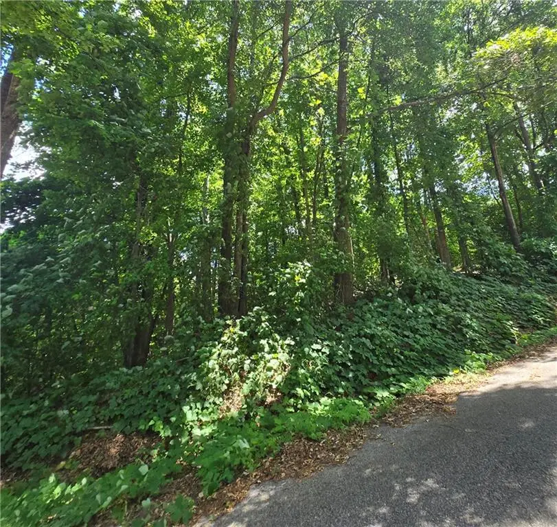 0 Beechwood Road, Elberton, GA 30635 - Image #1