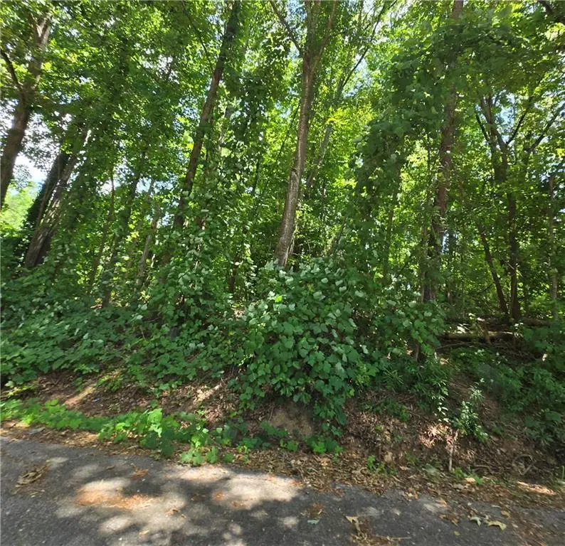 0 Beechwood Road, Elberton, GA 30635 - Image #2