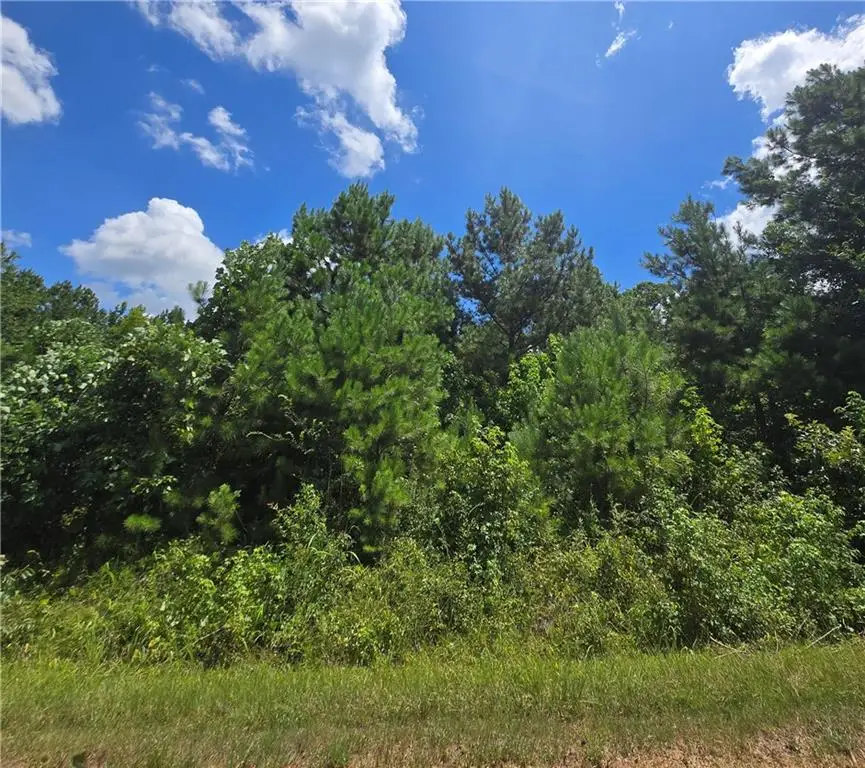 0 Beechwood Road, Elberton, GA 30635 - Image #3