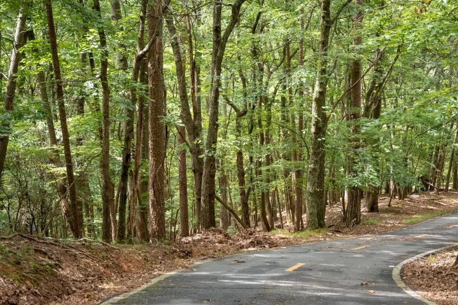 25 Lady Slipper Lane, Big Canoe, GA 30143 - Image #2