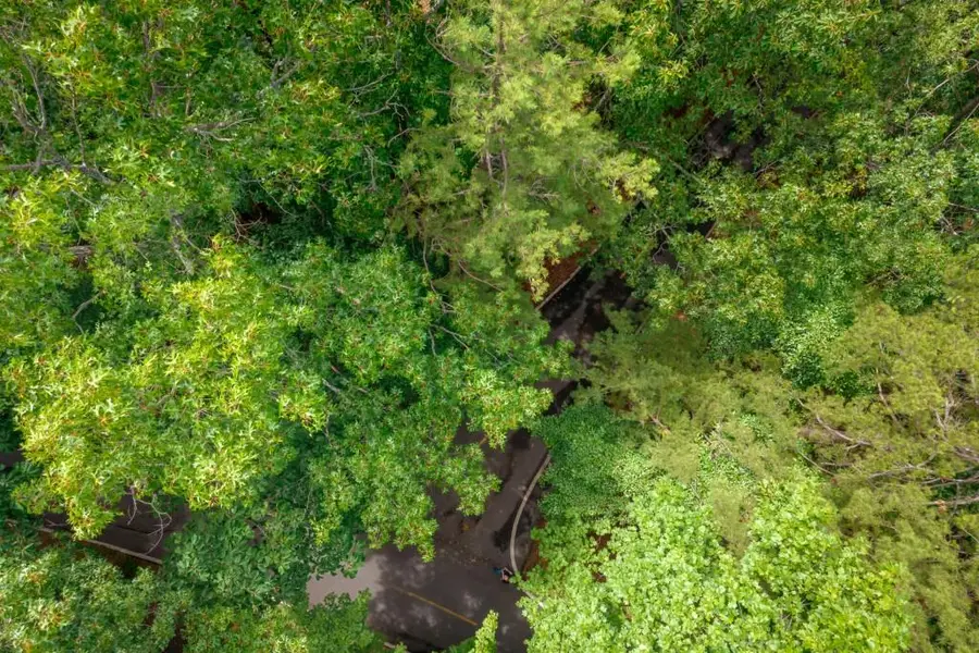 25 Lady Slipper Lane, Big Canoe, GA 30143 - Image #3