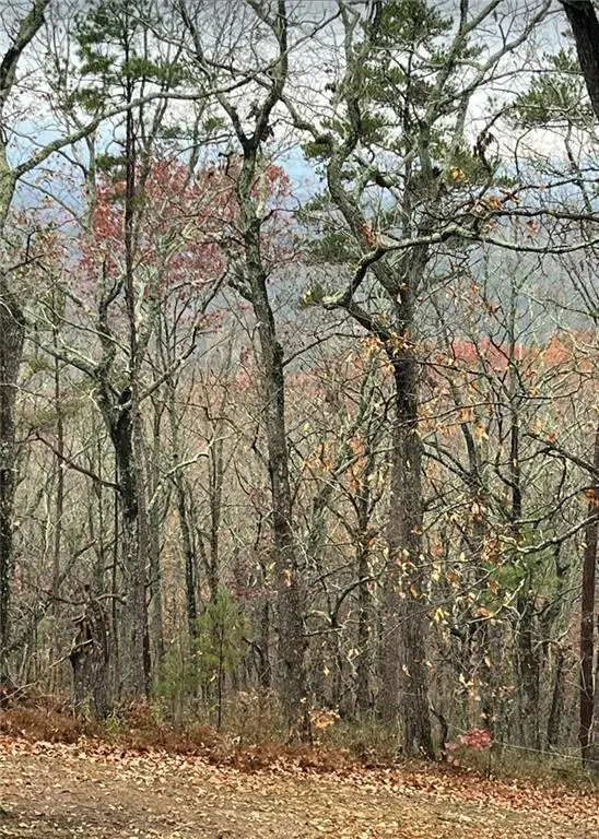 437 Mccurry Trail, Canton, GA 30114 - #3